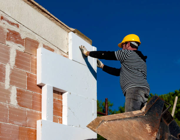 Best Commercial Insulation in Wylie, TX